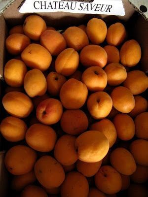 Des recettes de confiture d'abricots à tous les parfums : vanille, romarin,  coco, lavande
