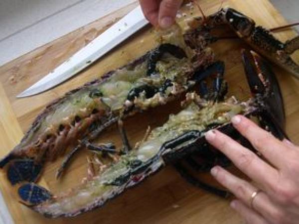 HOMARD BRETON GRILLE et sa sauce coraillée - Préparation etape 4