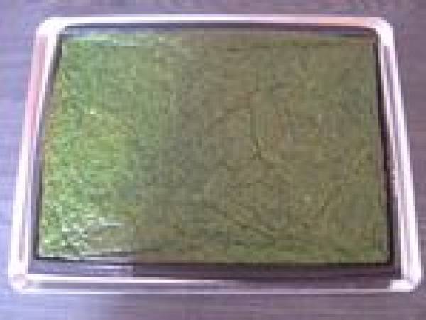 Roulé aux Epinards, Saumon & Boursin - Préparation etape 2