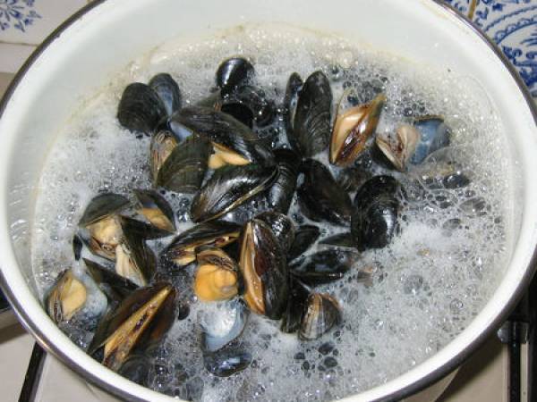 Moules à la crème et aux épices - Préparation etape 3
