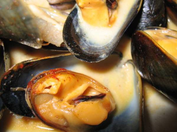 Moules à la crème et aux épices - Préparation etape 4