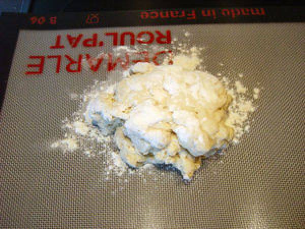 Raviolis maisons faciles au Thermomix - Préparation etape 1