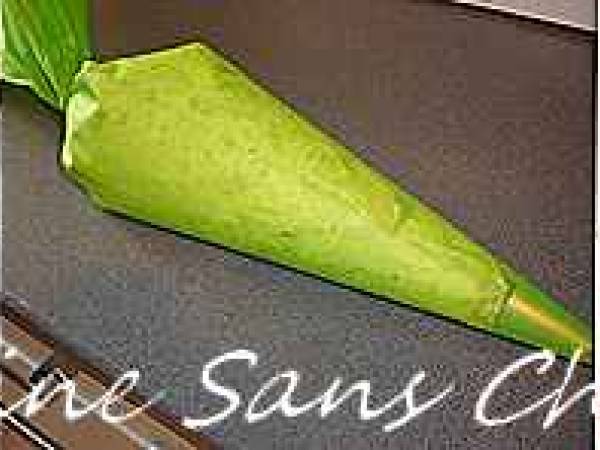 Cornets de feuilles de bricks fourrés au thon et chantilly - Préparation etape 12