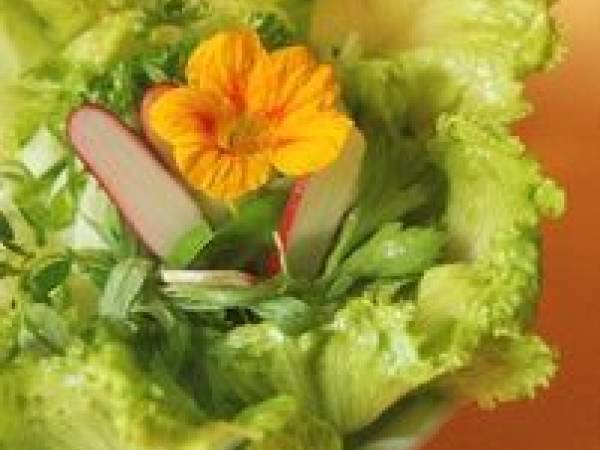 Salade de christophine - Préparation etape 7