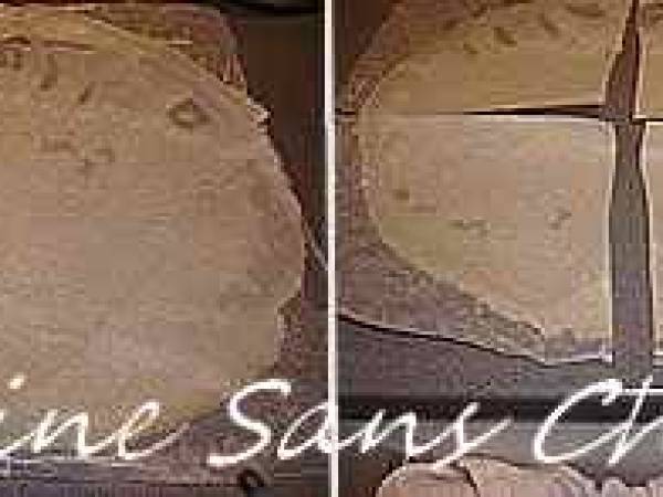 Nems chocolat, clémentines et sa sauce orange, Grand-Marnier. - Préparation etape 5