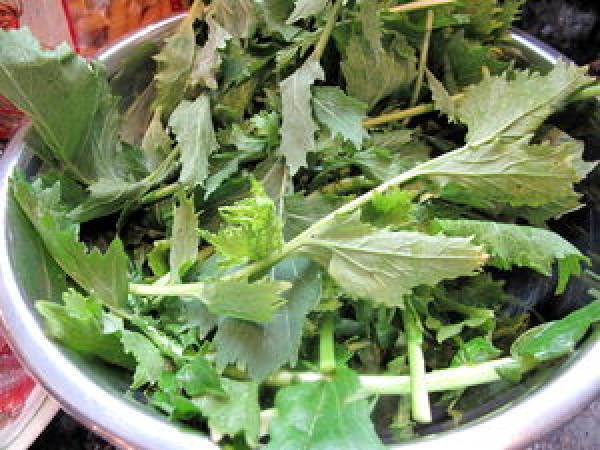 Macaroni aux anchois frais et cime di rapa - Préparation etape 3