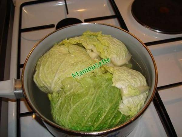 Mille-feuille de deux choux aux deux saumons - Préparation etape 1