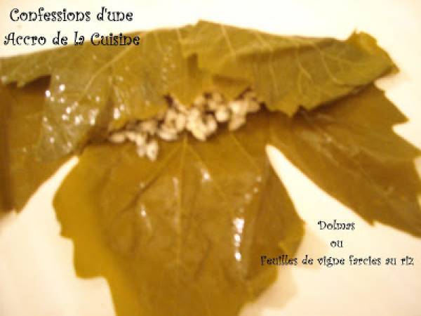 Dolmas ou feuilles de vigne farcies au riz - Préparation etape 4
