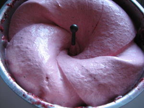 Sorbet pur fruit et light - Préparation etape 4