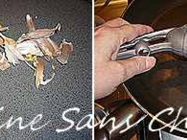 Spaghettis à la carbonara végétarienne aux courgettes. - Préparation etape 3