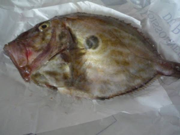 Saint Pierre au four - Sankt Petersfisch aus dem Ofen - Préparation etape 1