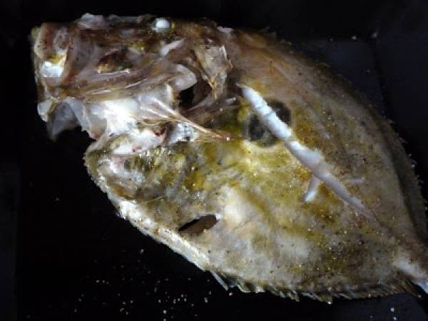 Saint Pierre au four - Sankt Petersfisch aus dem Ofen - Préparation etape 2