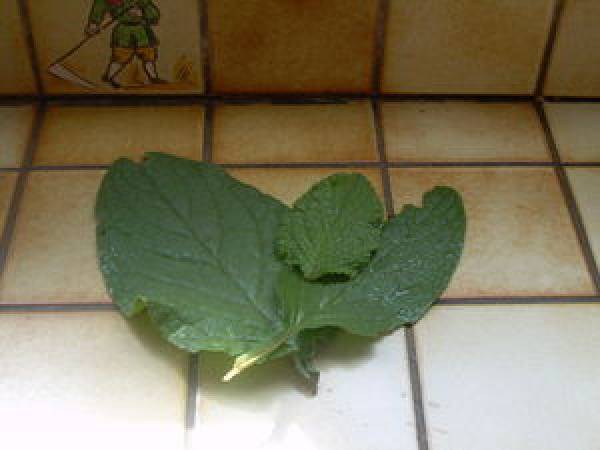 Tarte de ricotta et bourrache - Préparation etape 2