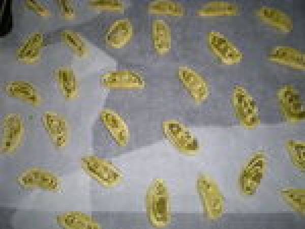 Tourbillons feuilletés au pesto - Préparation etape 6