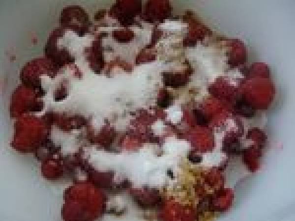 Yaourt grec aux groseilles et framboises au sucre - Préparation etape 1