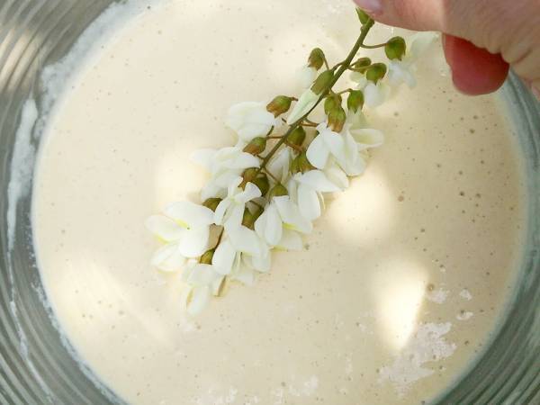 Beignets aériens de fleurs d'acacias - Préparation etape 3