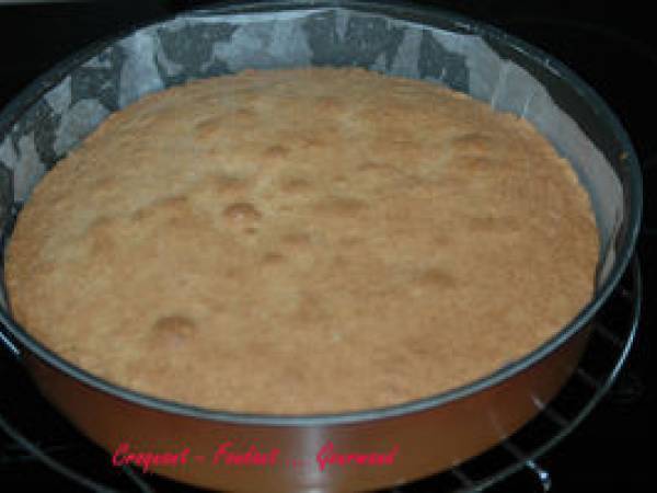 VISITANDINE de MICHEL OLIVER - Préparation etape 7