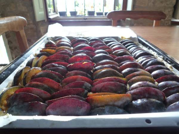 Gâteau aux prunes - Pflaumenkuchen vom Blech - Préparation etape 3