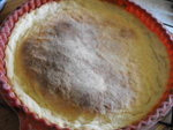 Tarte aux quetsches et à la frangipane - Préparation etape 4