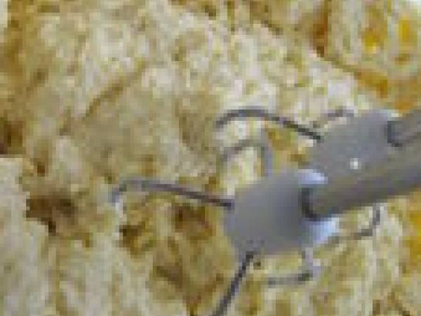 Tarte aux quetsches et à la frangipane - Préparation etape 5