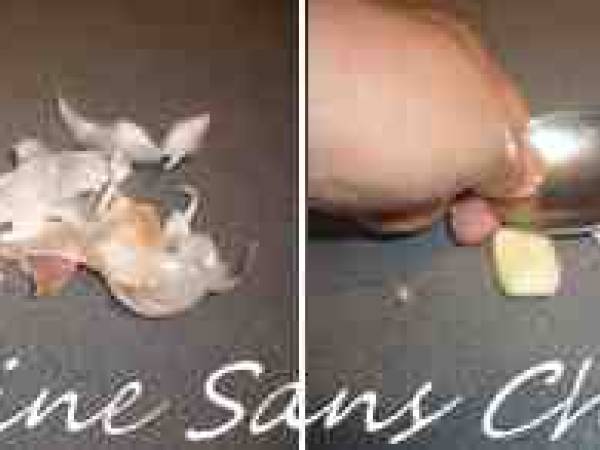 Mille-feuille d'aubergines au fromage de chèvre - Préparation etape 3