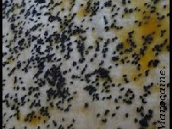 PAIN FARCI A LA MAROCAINE - Préparation etape 2