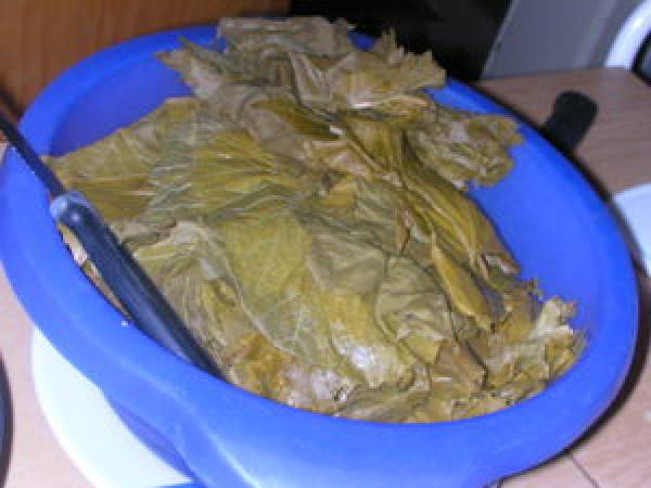 Délicieuses feuilles de vigne ( recette en photos) - Préparation etape 2