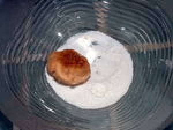 Les meilleurs sablés au monde! 250% pur beurre! - Préparation etape 4