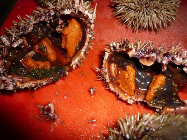 Carpaccio de Saint Jacques aux oursins - Préparation etape 2