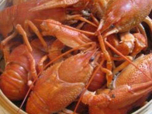 Médaillons de Volaille aux Ecrevisses, façon Bonaparte - Préparation etape 1