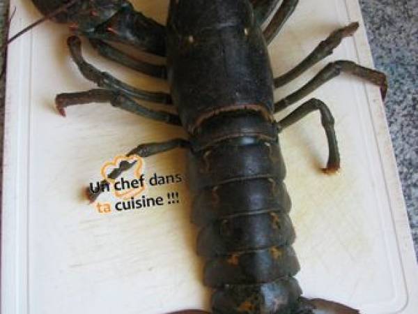 Bûche de Homard à la Mousse de Sandre Frais - Préparation etape 2