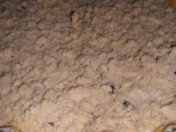 TARTE CRUMBLE AUX FRUITS ROUGES - Préparation etape 4