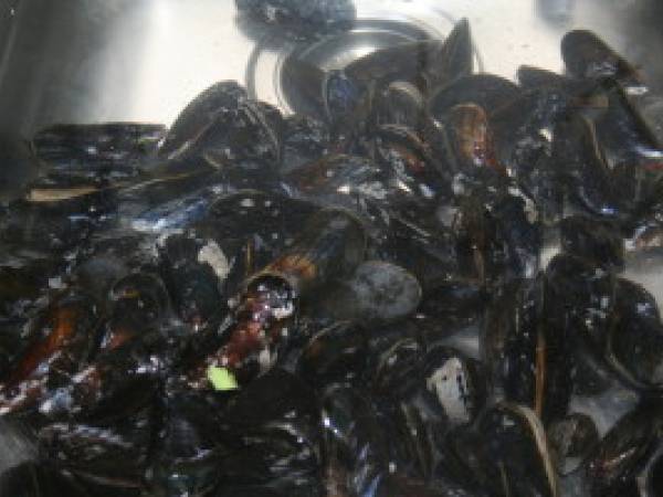 La moules-frites belge .. la seule, la vraie. - Préparation etape 3