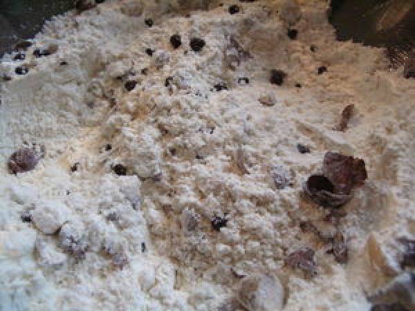 Biscotti aux noisettes et pépites de chocolat - Préparation etape 6