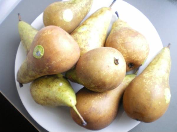 Gâteau Jardin et sa jardinière de fleurs - Préparation etape 11