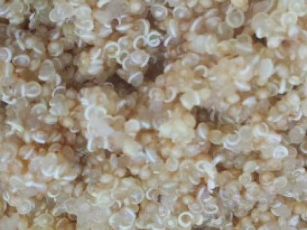 Salade de quinoa avocat-tomates - Préparation etape 1