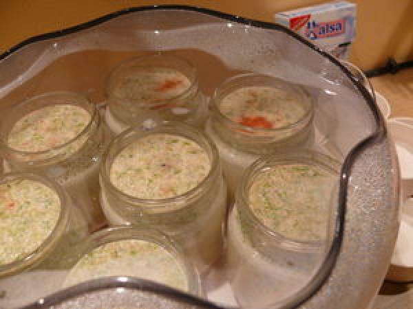 Yaourt salé au saumon fumé, sur lit d'oeufs de lumps - Préparation etape 4