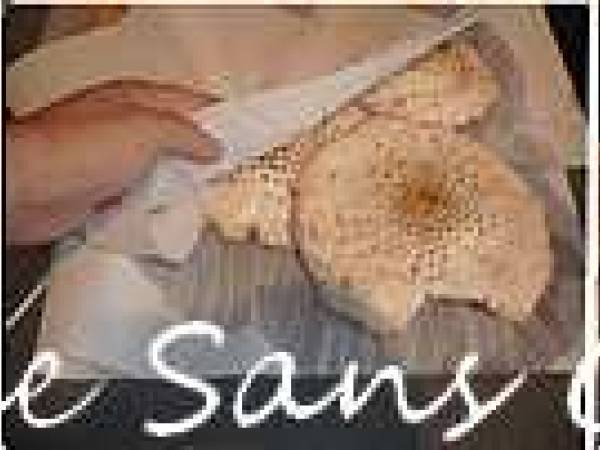 Penne aux coulemelles - Préparation etape 1