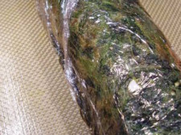 Roulé saumon-épinards. - Préparation etape 7