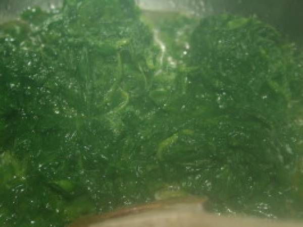 Macaroni aux lentilles et aux épinards - Préparation etape 1