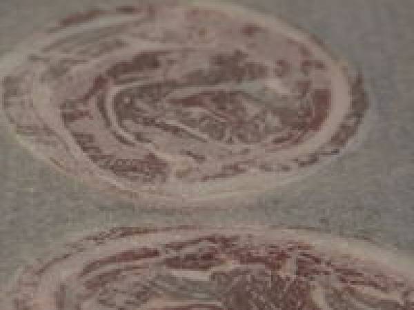 Crème brûlée au beaufort, poudre de lard - Préparation etape 6