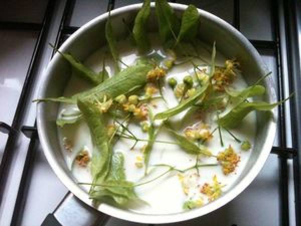 Crème dessert au tilleul - Préparation etape 1