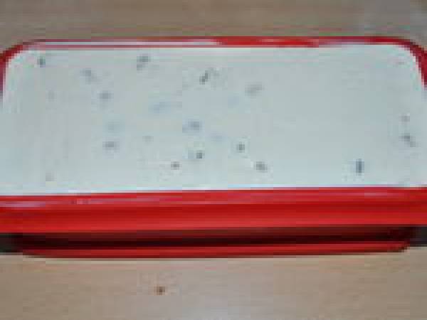 Nougat glacé facile - Préparation etape 9