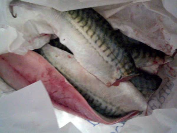 Maquereaux en conserve - Préparation etape 1