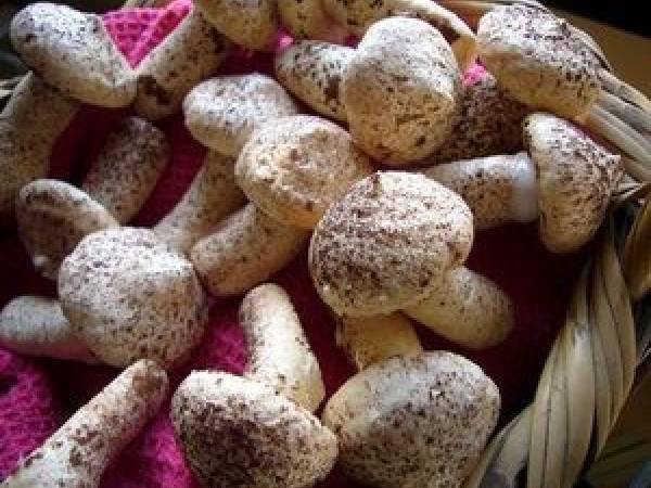 Dessert glacé chocolat framboise - Préparation etape 11