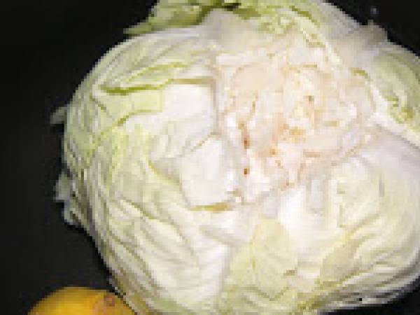 Feuilles de chou farcies à l'Egyptienne. - Préparation etape 5