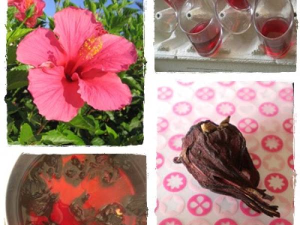 Panna Cotta au lait d'amande, gelée d'hibiscus et coulis de framboise - Préparation etape 1