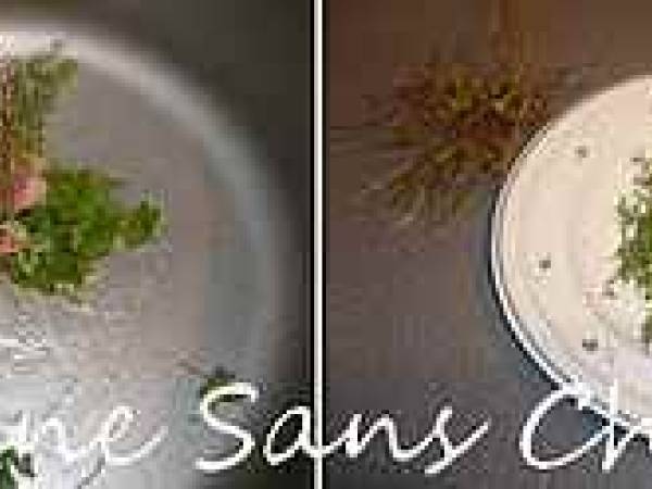 Champignons de Paris farcis aux herbes fraîches. - Préparation etape 1