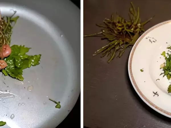 Champignons de Paris farcis aux herbes fraîches. - Préparation etape 1