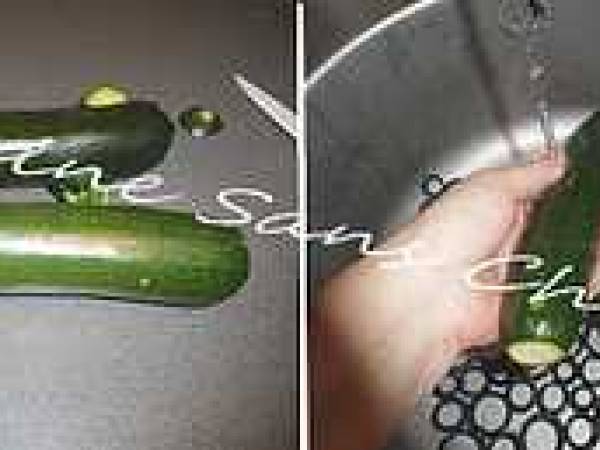 Cannelloni au jambon cru et courgette - Préparation etape 1